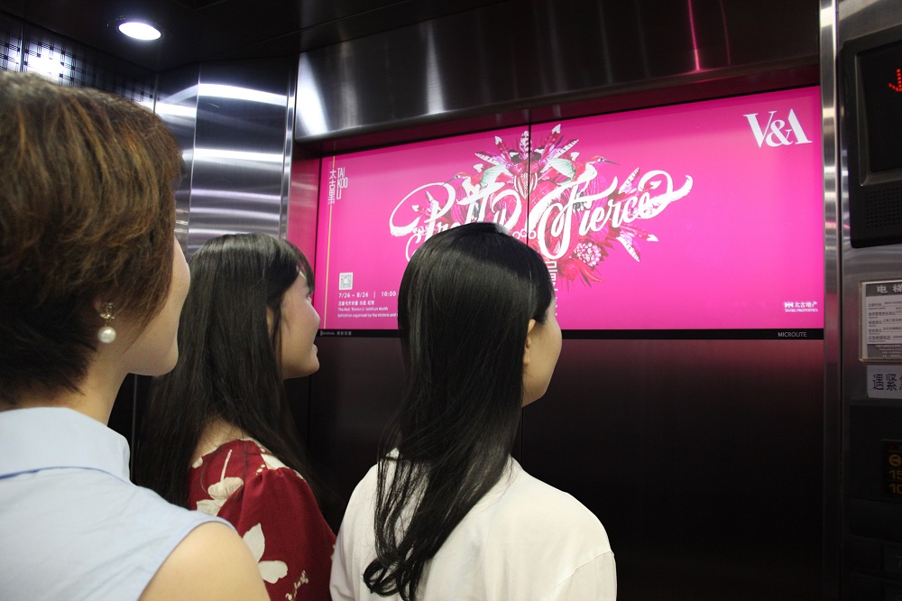 1572314287968092047.jpg 图4.jpg